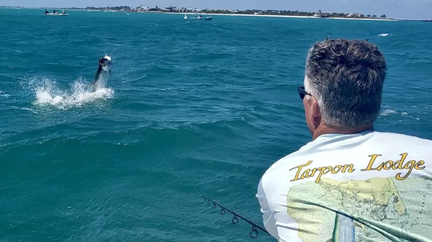 man reeling in tarpon