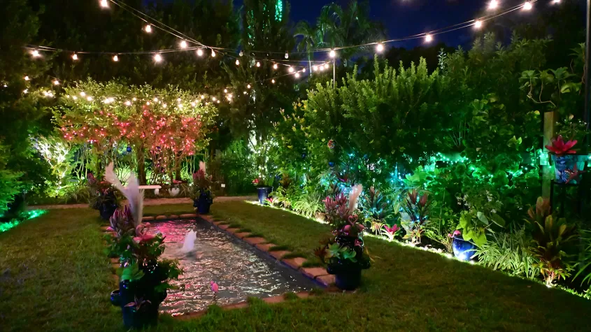 Moonlight Garden