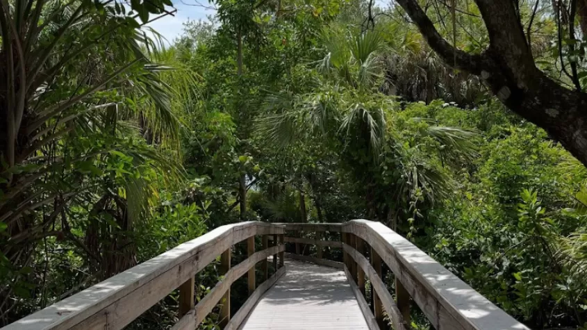boardwalk