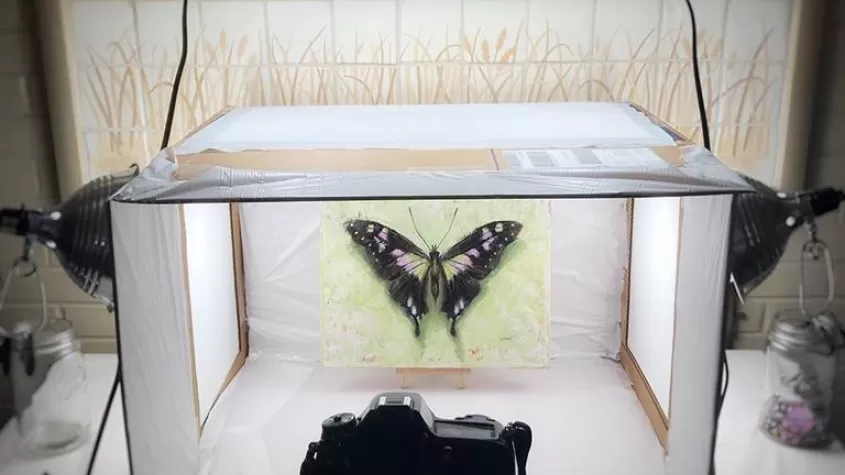 image of a camera aimed at a light box with a butterfly in it