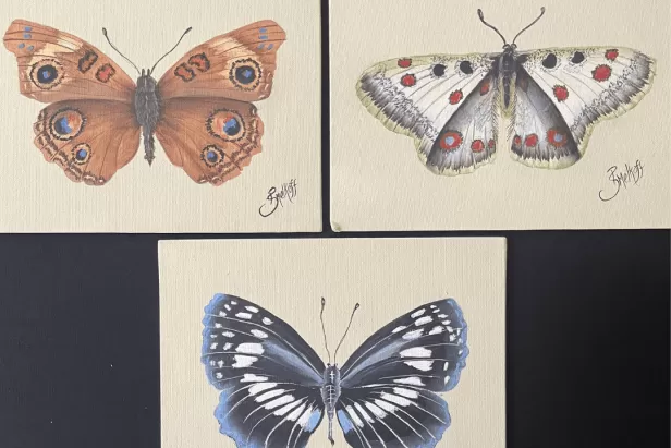 picture of three butterflies painted on small canvases. An orange, then a white and one in blue below.
