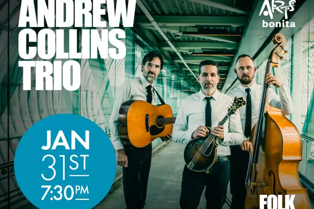 Andrew Collins Trio
