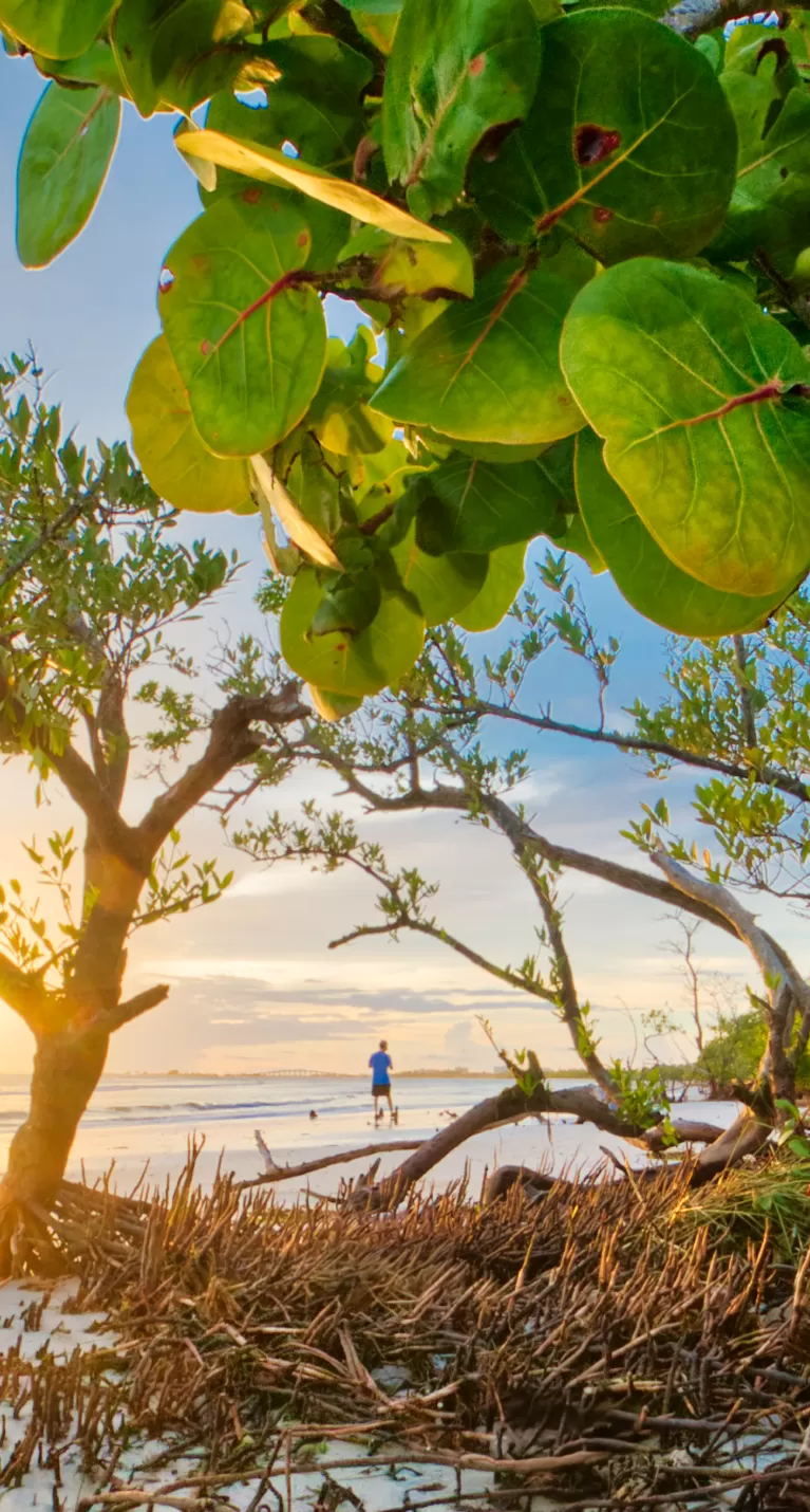 bunche beach