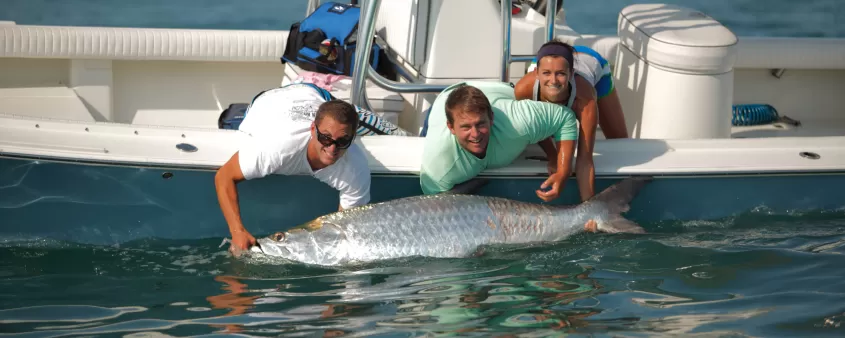 Tarpon Fishing