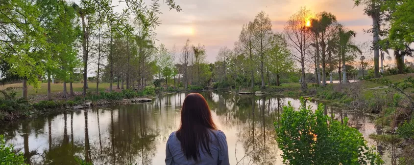 lakes park nature pond sunset