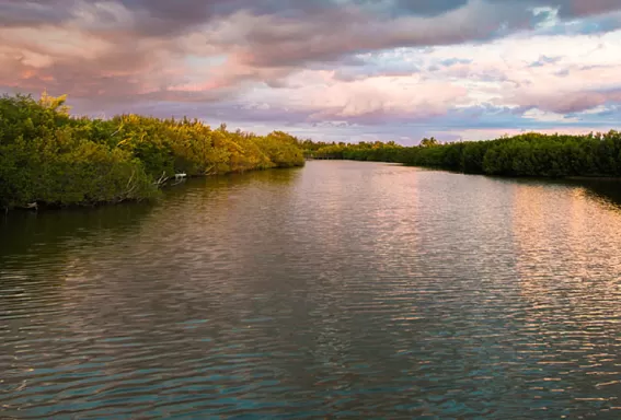 calusa blueway