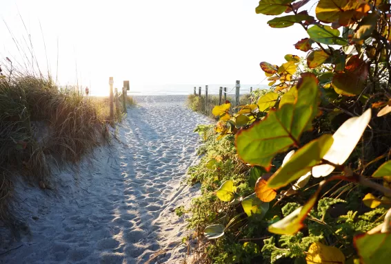 Blind Pass Beach Park