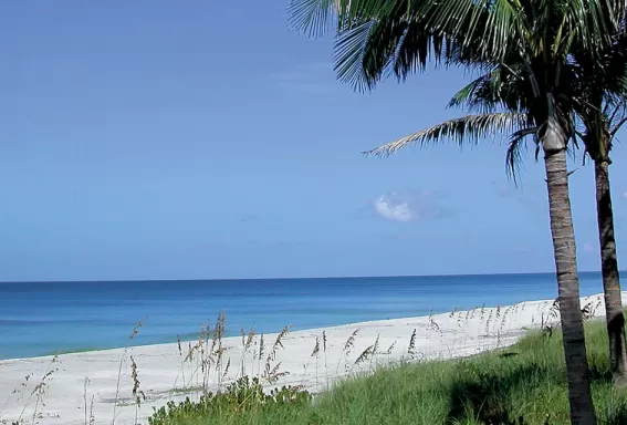 Alison Hagerup Beach Park