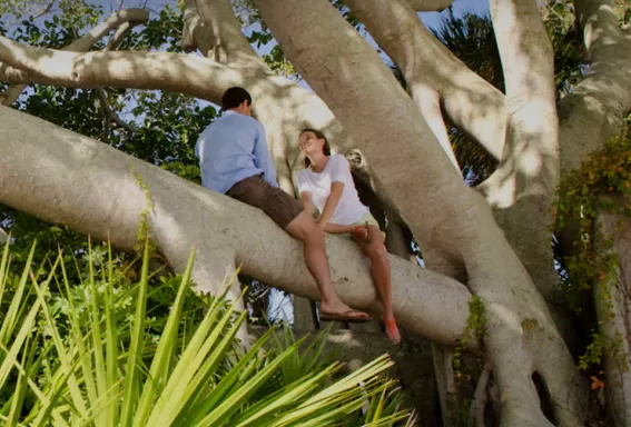 couple sitting in a tree