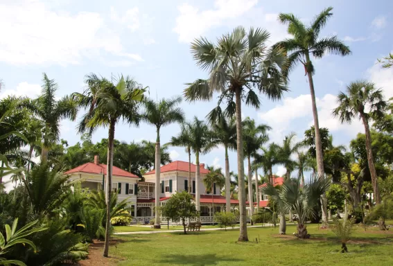 edison and ford winter estates surrounded by palm trees