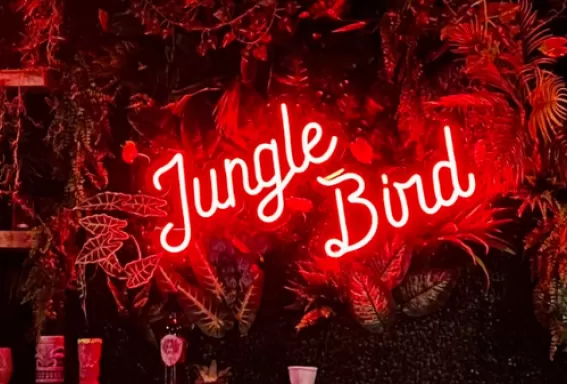 A neon light sign that reads Jungle Bird sits above a bar