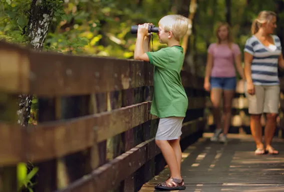 Child using binoculars on a boardwalk