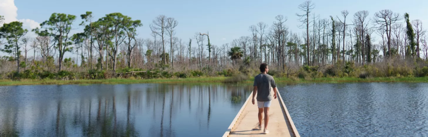 A man walks in pristine nature