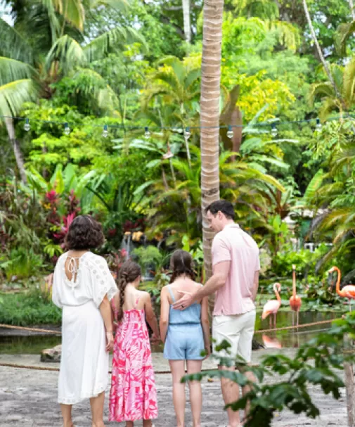 A family enjoys the sights of flamingos at the Wonder Gardens