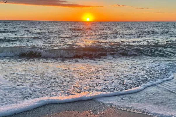 jillkayemphoto_BarefootBeach_2022_01_16.jpg