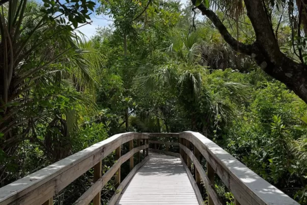 boardwalk