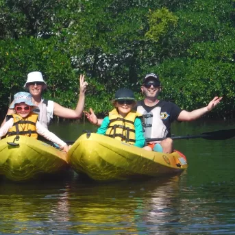 Paddling Water Kayak Mangroves