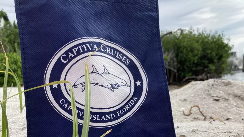 Captiva Cruises Shell Bag 