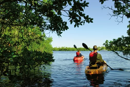 two people kayaking breaching the end of a creek, headed into a lake