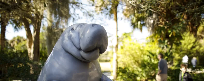 A statue of a manatee greets guests to Manatee Park
