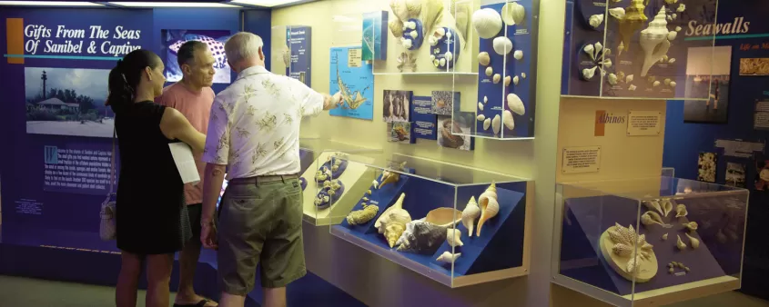 Visitors exploring exhibits inside the Shell Museum