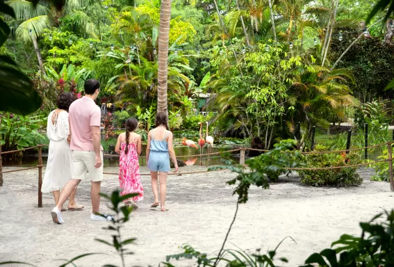 Family standing with backs to the camera looking a a flamingo in the shallow water from a sandy beach at Wonder Gardens