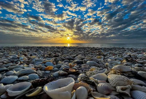 shells on the beach as the sun sets