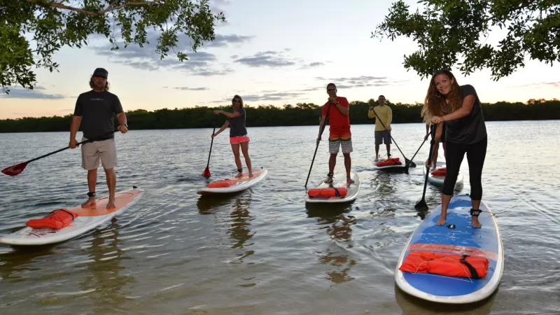 people stand up paddle boarding on waterway 